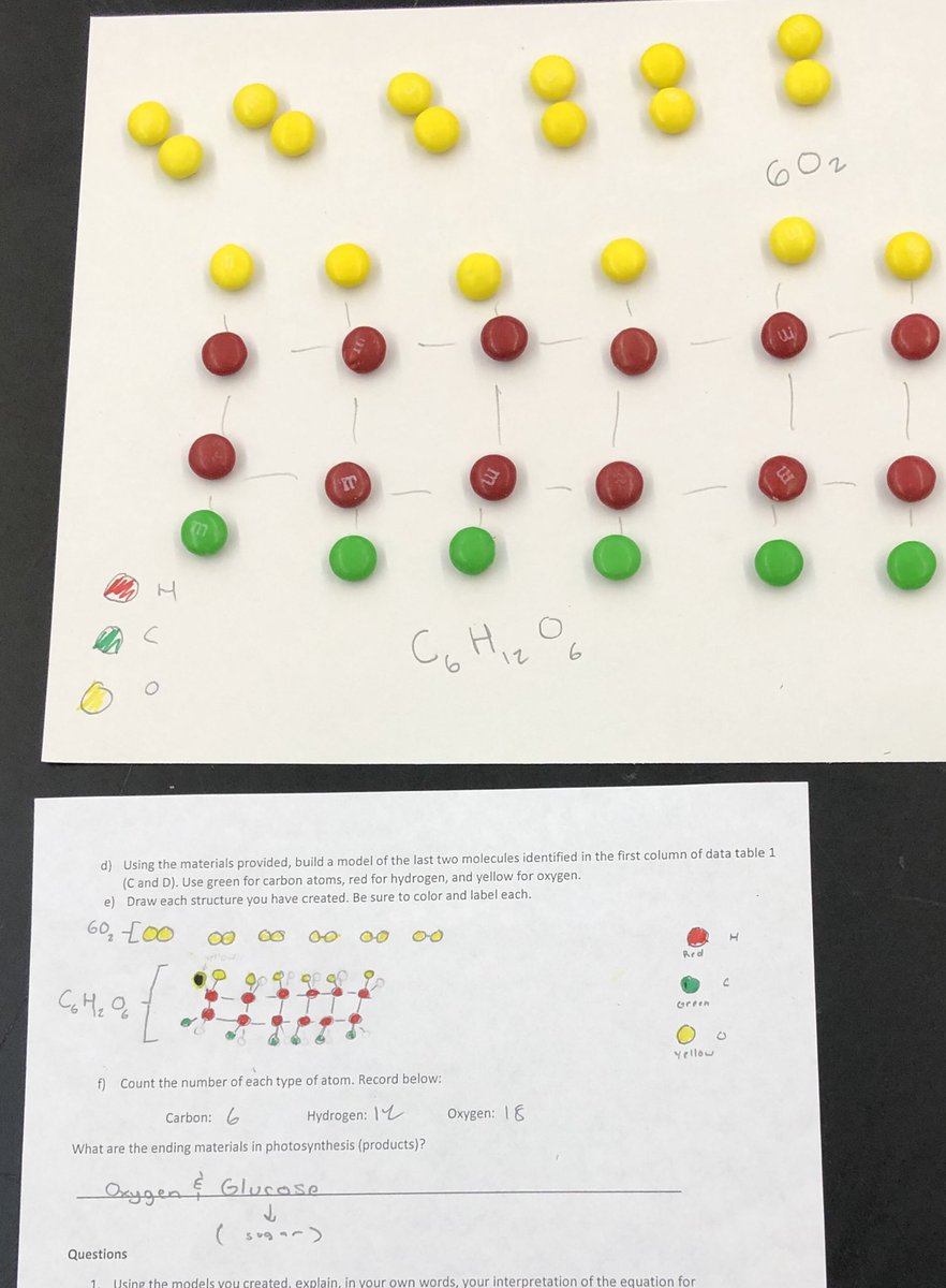 shobica_wadhwa's tweet photo. Modeling the process of #photosynthesis using M and M’s #EnergyandMatter #SystemandSystemModels #Developingandusingmodels #funforAll https://t.co/ibwquHbgKV