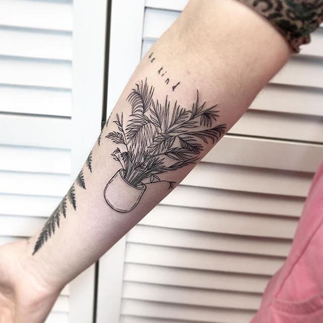Jherelle Jay Twitter ನಲಲ Tattooed this cute little plant today   plant tattoo finelinetattoo flowertattoos houseplant botanical  armtattoo tattoo httpstcooe1vCXgpCG httpstcopHRseuUhP9   Twitter