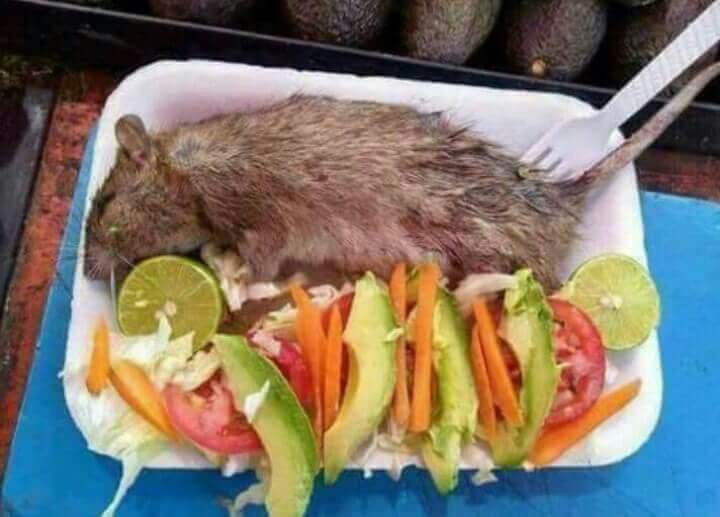 Palmitaok's tweet photo. Ya comieron pobres? RT y te invito a comer. https://t.co/mdBtsq9ZlL