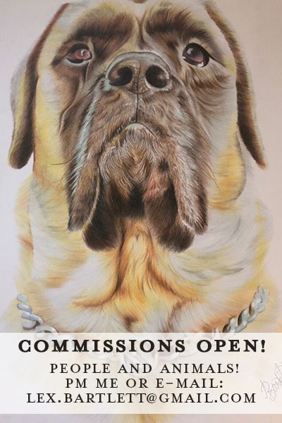 Hey guys! I currently have spaces available for commissions. :-) I'll probably just be taking 2-3, so please get in quick and let me know! ^_^ #art #portraits
You can either PM me here or e-mail me. 😊😊