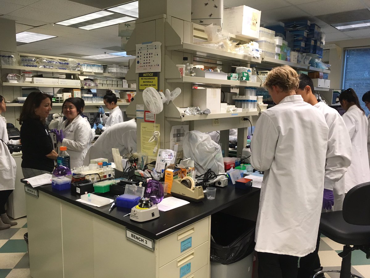 engage_sci's tweet image. Teaching visiting high school students from @PunahouSchool in the @fredhutch training labs with @HanakoOsuga 🔬✈️🤓 @SciEdHutch 
#lab_selfie #benchwork