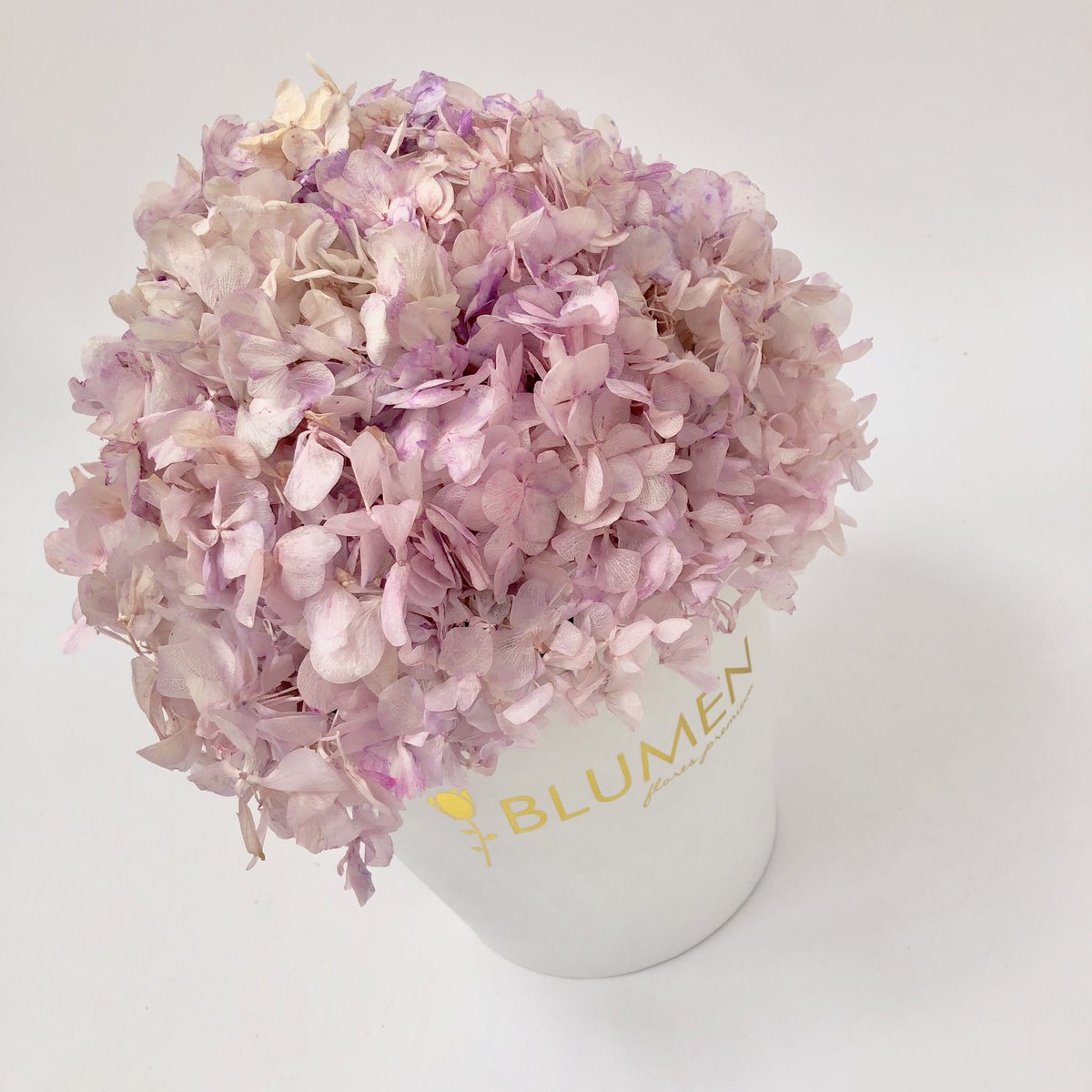 blumenecuador's tweet photo. Tenemos un nuevo color en Hydrangeas preservadas BLUMEN, disfrútalo en los #BLUMENbox 🎁✨🐊.
¡Vive la experiencia BLUMEN!.
📱WhatsApp 0990061071 .
#BlumenEcuador #flores #florespreservadas #ecuador #hortensias #regalos #amor #amistad #celebracion #elegante #romance #hydrangeas https://t.co/L6FzI4mq1U