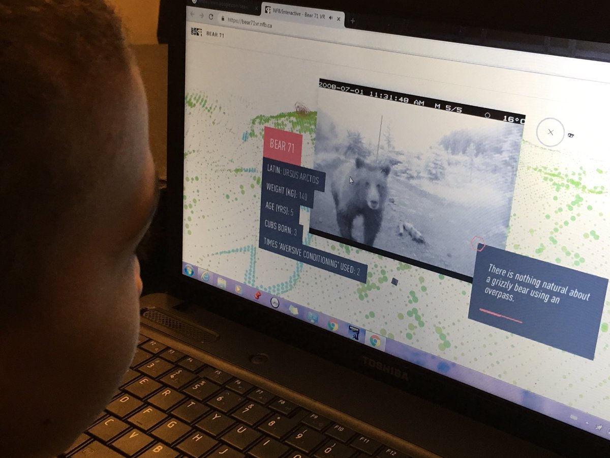 MsKhalfanOCT's tweet photo. Inspired by a Science lesson, the learning continues at home @Klblib @PDSBnair #Bear71 A fantastic interactive documentary re-released  in 2017 by Leanne Allison &amp; Jeremy Mendes following the life of a grizzly bear in Banff National Park. https://t.co/3InoMiEB9O