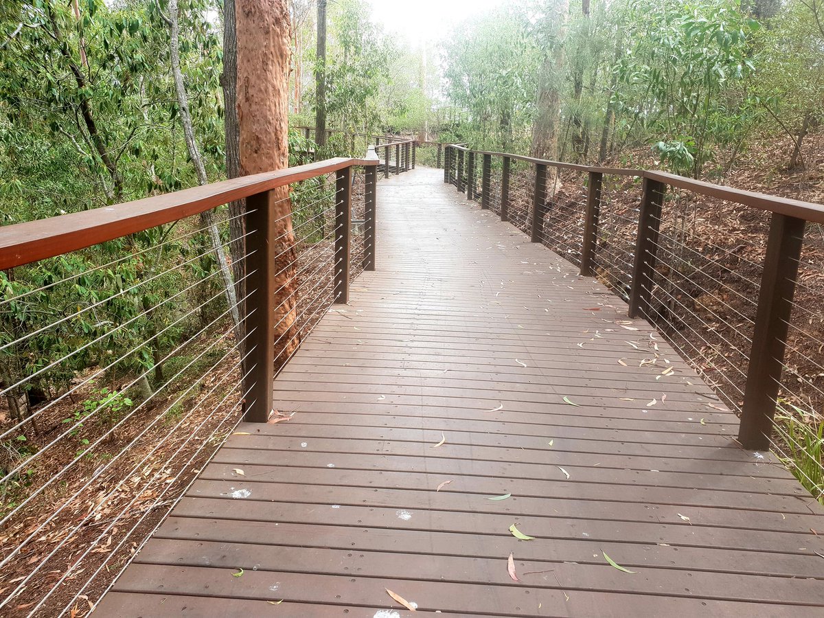 Treetop walk #RobelleDomain <a href="/springfieldQLD/">Greater Springfield</a>