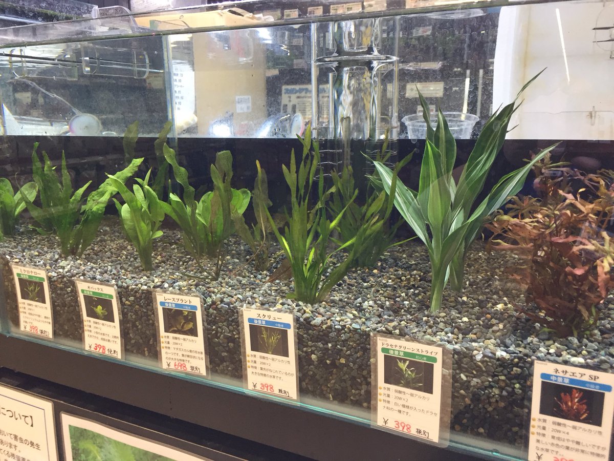 スーパービバホーム厚木南インター店 スーパービバホーム厚木南インター店