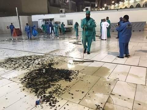 shahnoor3000's tweet photo. First time in the history insects attack on the holy city of #Makkah https://t.co/F5lIV9JIgW