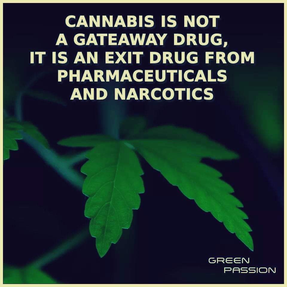 RE-legalization tweet media