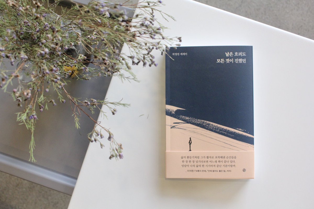 외할머니는 느렸다. 아침밥을 다 차리고 나면 이미 점심때라는 우스개가 있었다. 언제나 느릿느릿 마중을 나오시고, 느릿느릿 자리에 앉으셨다. 외가는 오래된 아파트였는데 다용도실 방충망엔 꼭 나비처럼 생긴 얼룩이 있었다. 내가 놀러가면 항상 “정언아, 나비 기억나나”