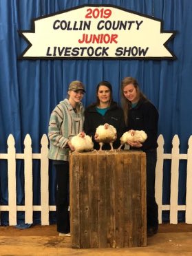 Congratulations to Zoe, Chris, Lauren, Paige, and Erin for making sale with their broilers at the Collin County Livestock Show!!