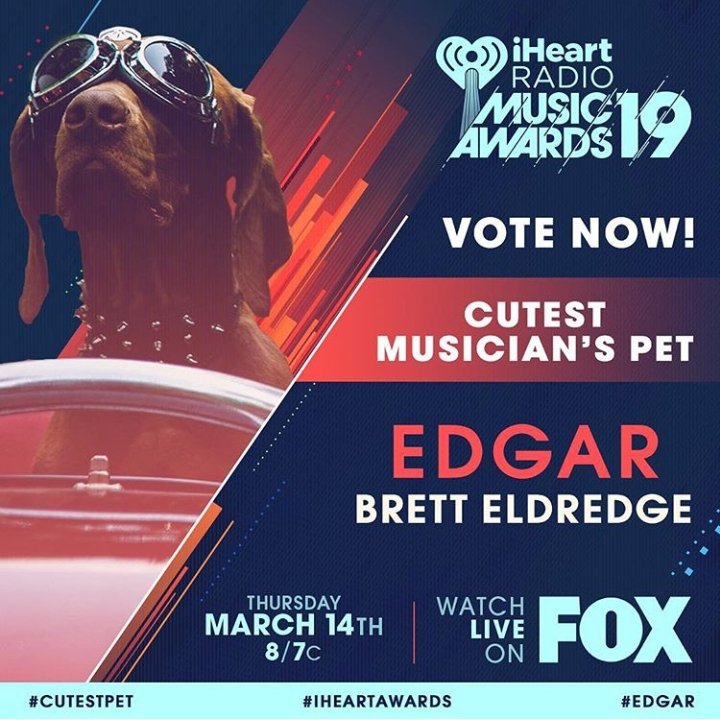 Brandyputerbau1's tweet photo. Congratulations EDGAR & @bretteldredge on getting an @iHeartRadio nomination for cutest petπ€πππΆπ
#edgar #bretteldridge #iheartradio #gotmyvote #custestpet https://t.co/gdOEex7BvV