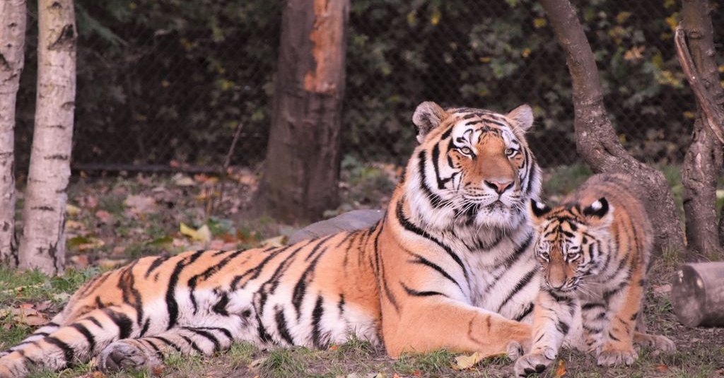 NLInnovators101's tweet image. #TheSecretsToLeadingCreativePeople #Creativity #NextLevelInnovators #SmallBusiness #BigBusiness #BeBold #Confidence #SocialMediaMarketing @trecie_jeffcoat

For Audio &amp;amp; Video Editing contact us at www.nextlevelinnovators.com@gmail.com ducttapemarketing.com/leading-creati…