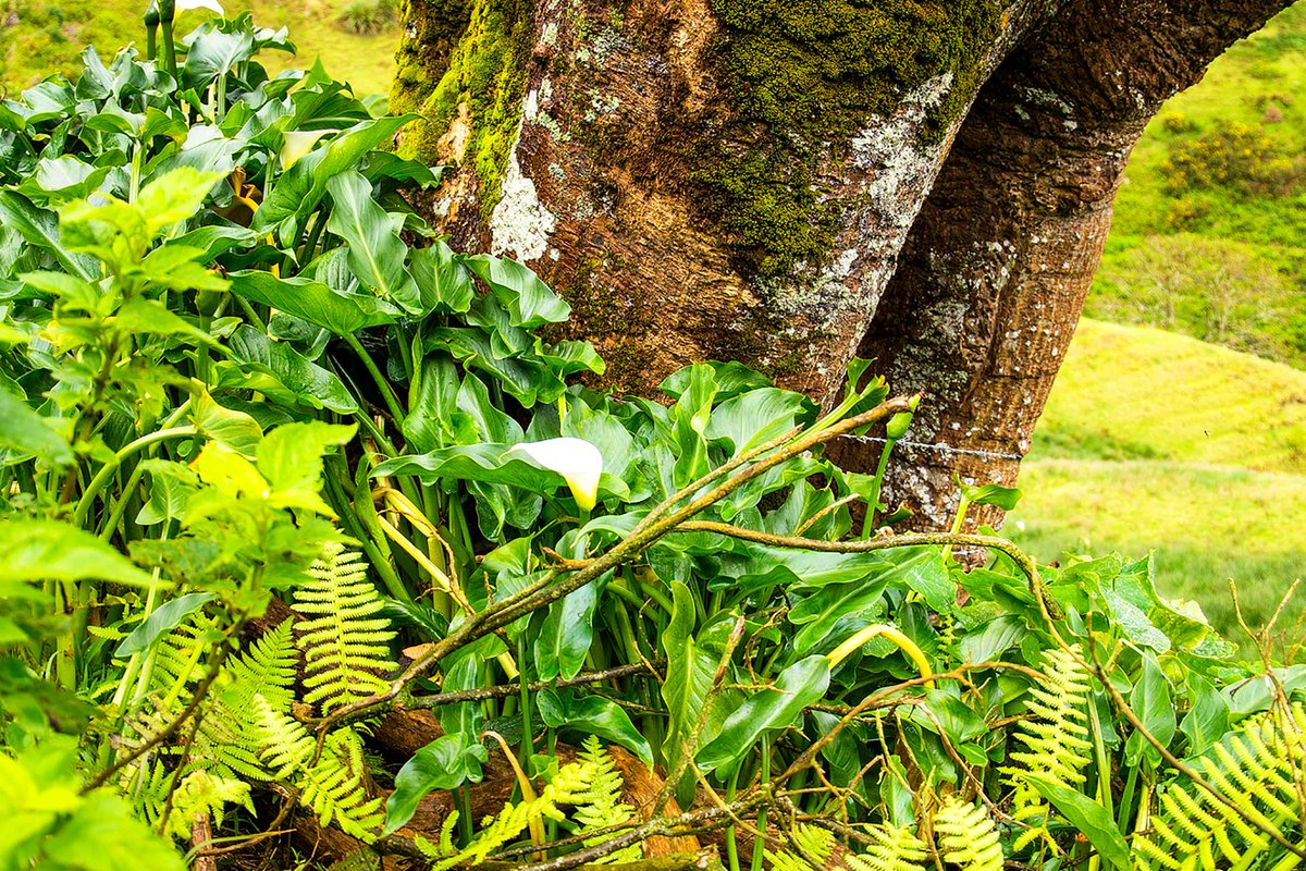 wildplanetguide tweet picture
