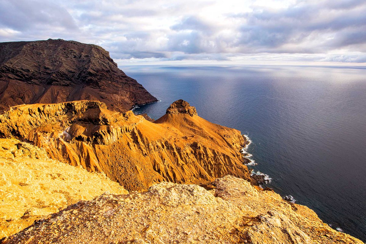 wildplanetguide tweet picture