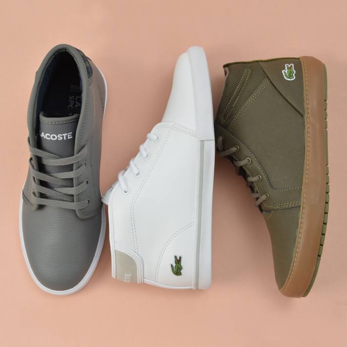 spitz lacoste for men