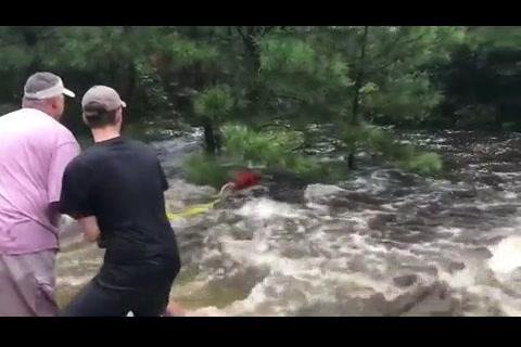 Man Sees Dog Clinging to Tree in Rushing Water so He Ties Yellow Rope Around Himself and Swims Out to Help masjmzs.com//index/xvideo/…