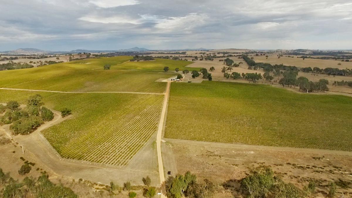 Did you read the news about the most significant vineyard purchase in our company’s history. Read more -&gt; ow.ly/YDEG30nfUUi #bestswines