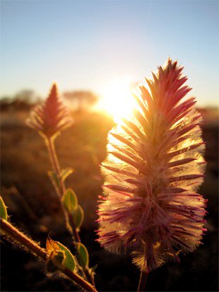 Marko Zirdum On Twitter Backyard Photography Tips Https T Co