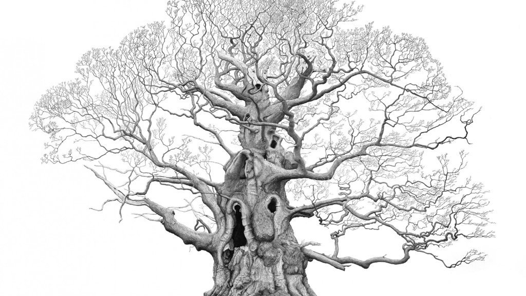 David_Oakes's tweet photo. Twenty giants have floored me; some planted by monarchs, one mentioned by Hardy, all seeping myth.
Impossible not to be humbled in the presence of an Ancient Oak (the Mottisfont Oak being one I’ve long revered).
#MarkFrith’s exhibiton is rooted at @KewGardens until March. Go. https://t.co/AzrI2Ey45E
