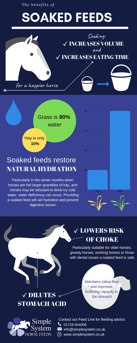 Simple System Horse Feeds on X: Check out our #infographic for the  benefits of feeding soaked feeds 💧🐴 #horsefeed #nutrition #soakedfeeds # equine #equinenutrition #equineblog  / X