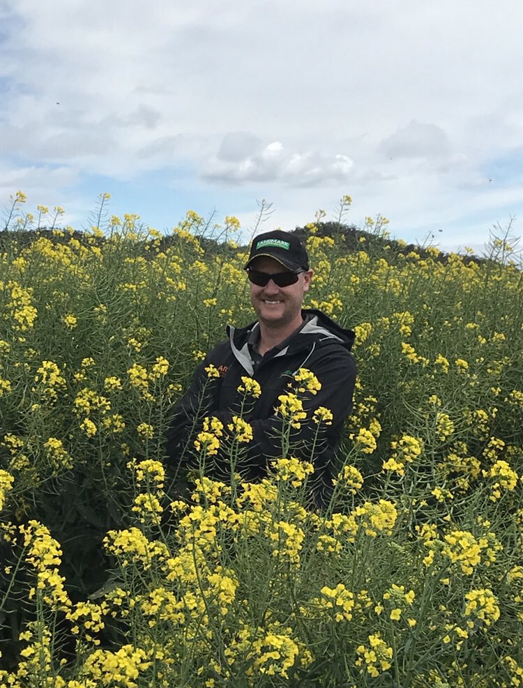 <a href="/mdnichols541/">Michael Nichols</a> This is how it was looking in November. Was intimidating to see. Can only imagine how difficult to windrow it was.
Thanks for sharing <a href="/mdnichols541/">Michael Nichols</a>