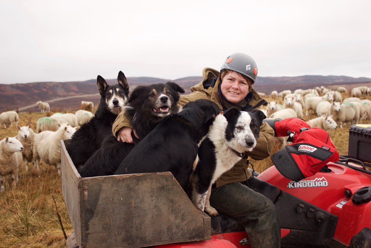 qmscotland's tweet photo. Mike Flynn of @ScottishSPCA will join Sutherland sheep farmer Joyce Campbell of @armadalefarm &amp; QMS dietitian Jen Robertson on @BBCRadioScot at 11.30 today to discuss red meat and livestock production. Text views &amp; questions to 80295. https://t.co/5EEKlPvrN7