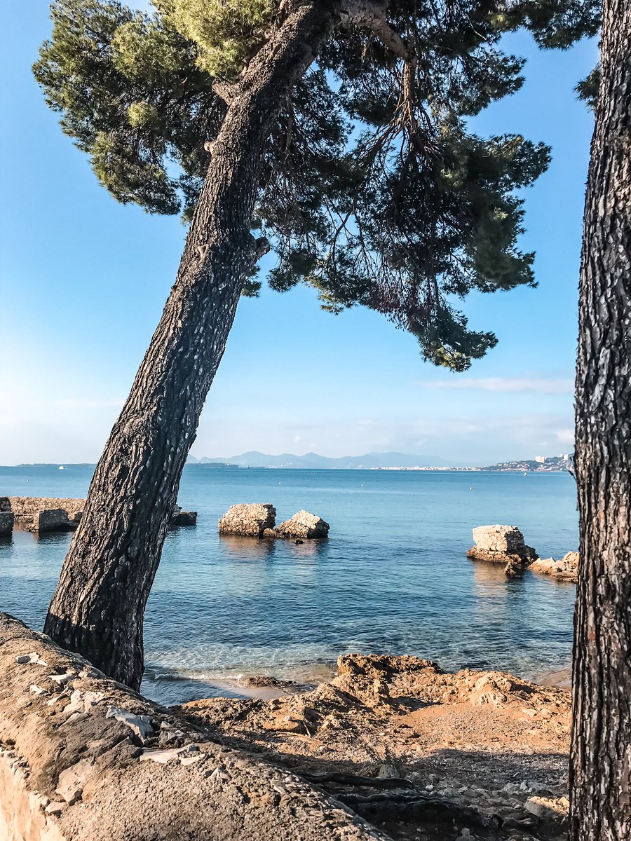 VisitCotedazur's tweet photo. Pour notre #jeudiphoto, on partage ces magnifiques clichés du Cap d'Antibes, capturés par @valentindonato_ !  ☀️🌊🐚
#CotedAzurFrance @AntibesTourisme https://t.co/d2LFk2FAAC