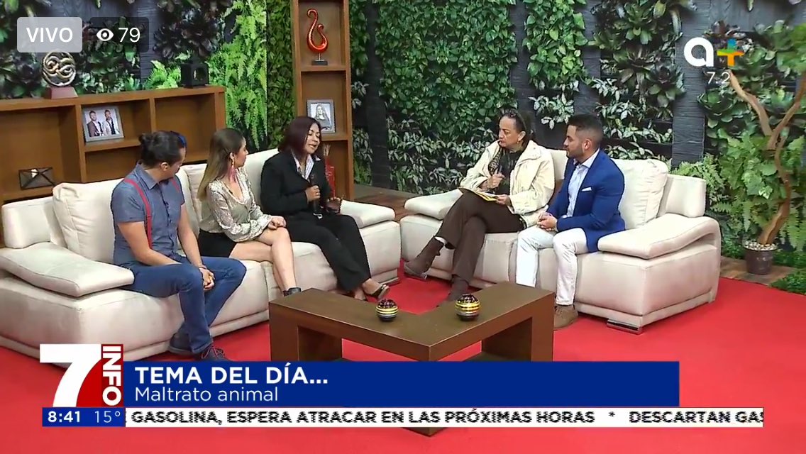 SantaneFan's tweet photo. @Mich_Santane Eres lo máximo! https://t.co/b7orDGX9JO