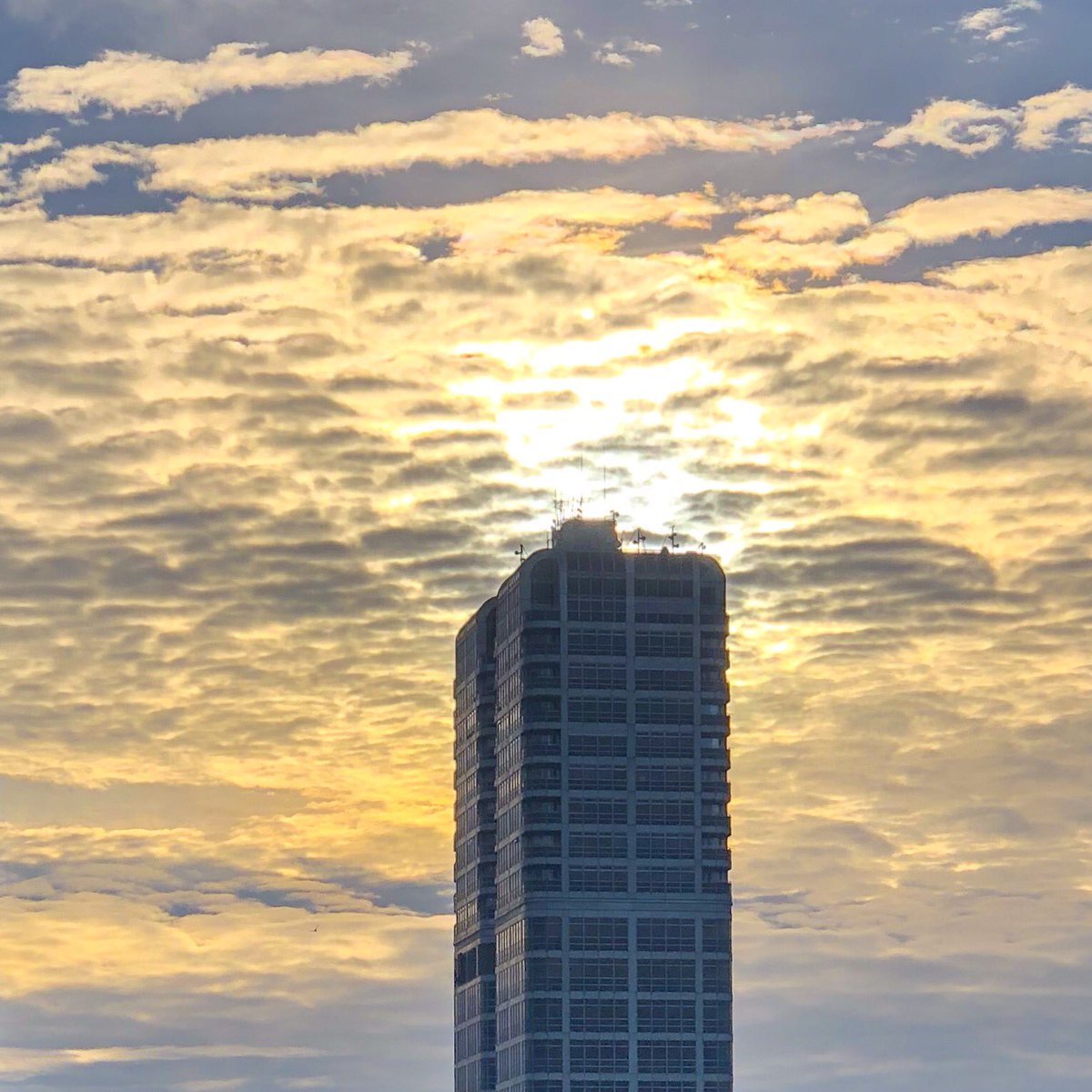 Brighter Sight tweet media