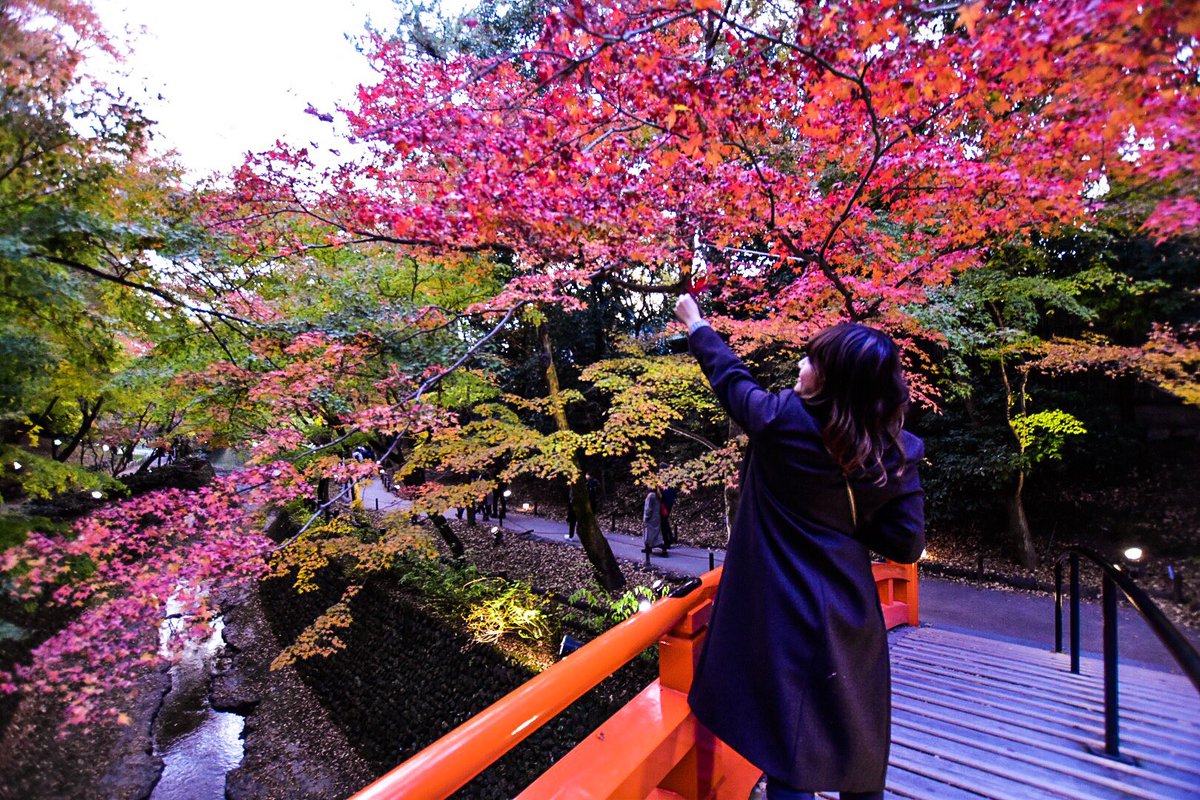 28__yusuke's tweet photo. #京都 #紅葉 #nikon https://t.co/fXzIeMlEQT