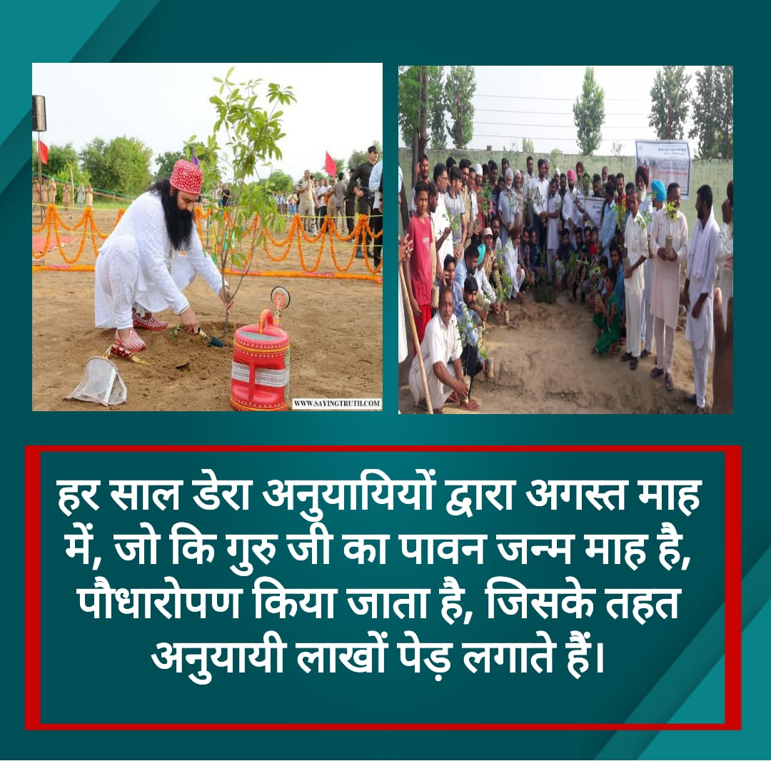 nitin_align's tweet photo. #TreePlantationDrivesByDSS
#3worldRecords
#pollutuonFreeEnvironment https://t.co/BK59lselXd
