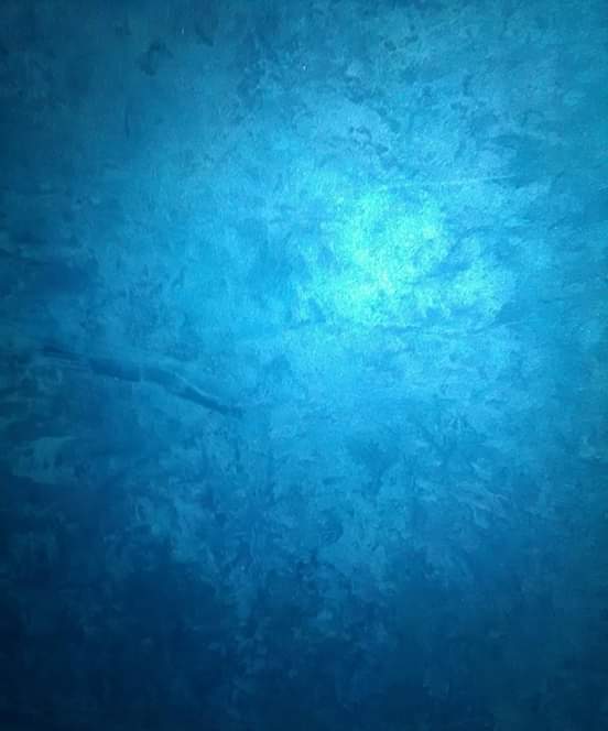 coat_pro's tweet photo. #procoat #painting #highend #faux #blue #feature #wall https://t.co/Ehakw9mUY0