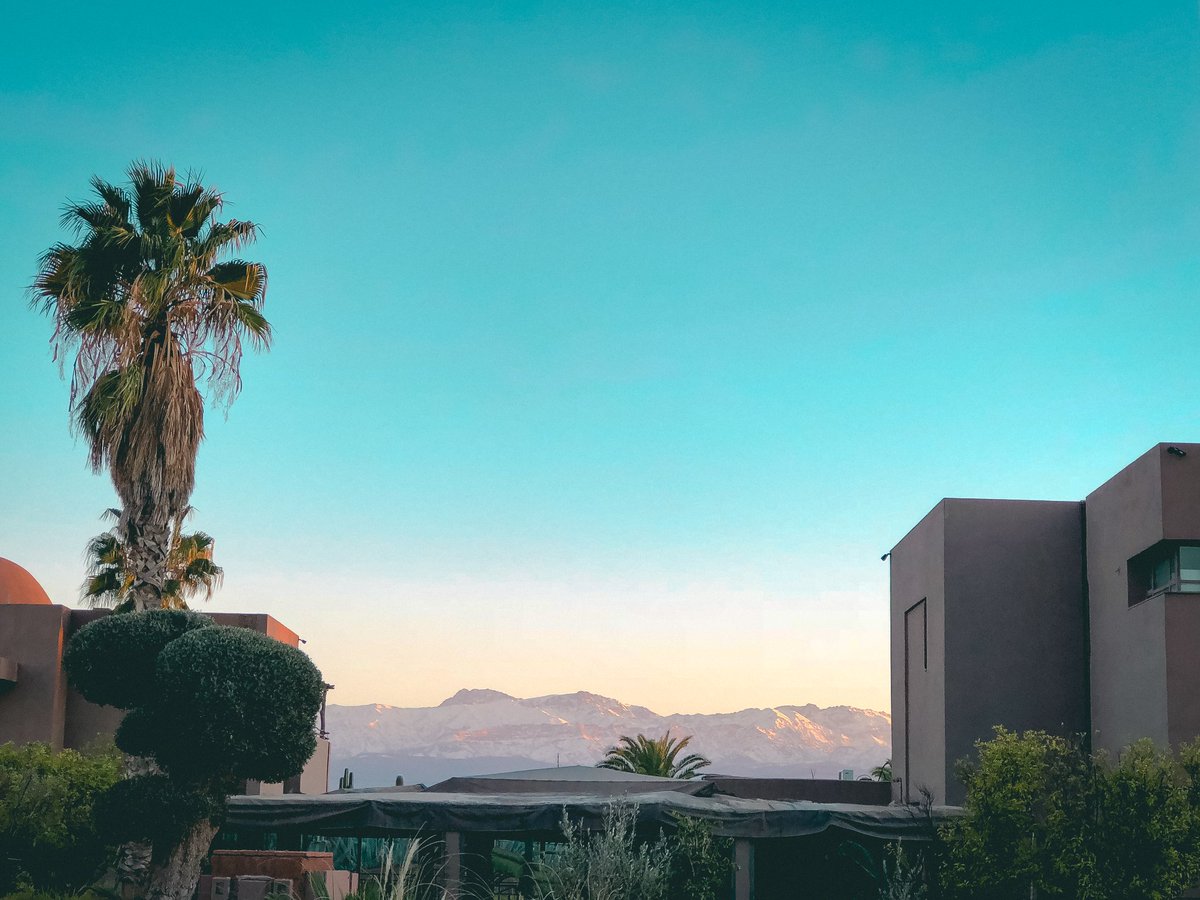 Come and see us in Morocco!
There are still tickets on sale now for the 28th-31st March.
beat-hotel.com
.
.
.
#thebeathotel #beathotel #morocco #marrakesh #gorillaevents #bestinthefield #gorillaontour #eventprofs #festival