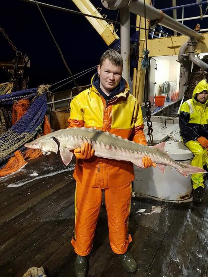 EMKvissers's tweet image. OPEN DAGEN #VISSERIJVAKSCHOLEN // Komende weken/maanden een open dag bezoeken aan een visserijvakschool, kan o.a. hier:
rocfriesepoort.nl/volwassenen/ma…
stc-group.nl/locaties/delta…
mbo-stc.nl/open-dagen
rockopnh.nl