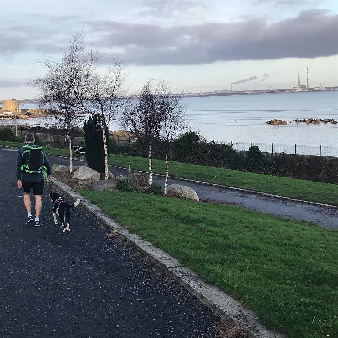 Morning walks through Monkstown are best topped off with a coffee and a chat. The best part is, your dog is welcome too 🐾

(📸 @boradorlola)