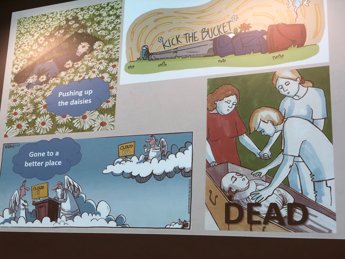 In her excellent inaugural lecture last night, <a href="/TuffreyWijne/">Irene Tuffrey-Wijne</a> stressed the importance of using the right words when talking about death and dying with people with intellectual disabilities. Euphemisms are confusing!