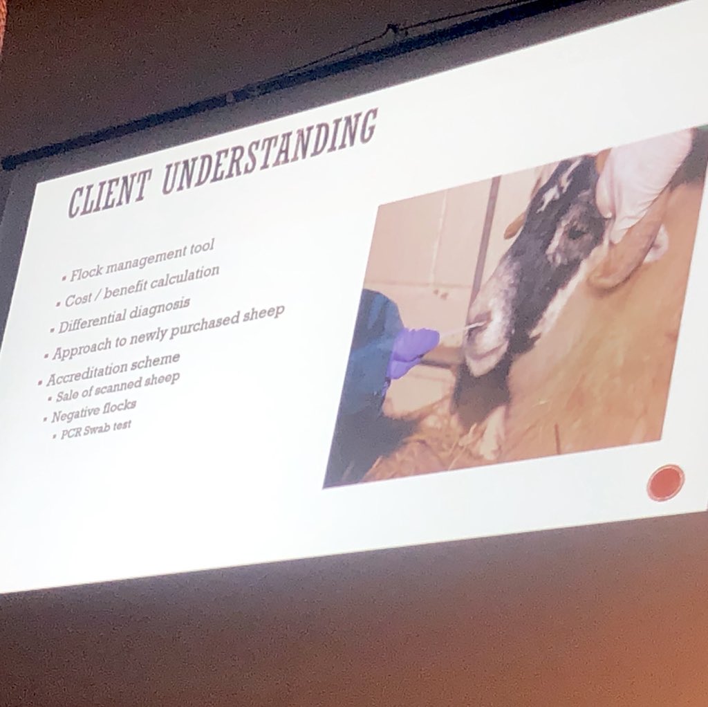 simondocvet's tweet photo. Congratulations to Pat Hart on winning Frank Mullen Trophy for presentation on #cytology in work up of #dermatology cases at #AVSPNI #OmaghDay19. Two other great clinical talks on #vet #farrier relationships &amp; #thoracic #ultrasound for control of #OPA. https://t.co/f1j9Wkqs2j