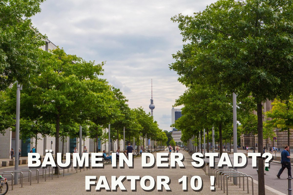 ConradAmber7's tweet image. GILT AUCH FÜR IHRE #STADT! BEWOHNER :10 = SO VIELE #BÄUME BRAUCHT IHRE STADT, DAMIT DIE #ATEMLUFT SAUBER UND DIE ERWÄRMUNG ERTRÄGLICH BLEIBT! In meinen Vorträgen zeige ich Beispiele, wie es gemacht wird, welche europäischen Städte zu den Gewinnern gehören. conradamber.at