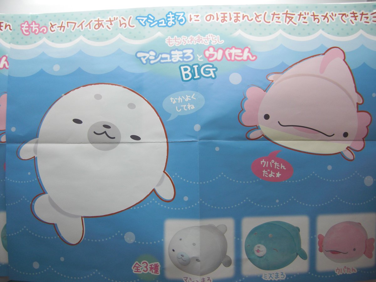 パルケ デ アミーゴ 山形 プライズ マシュまろ ウパたんbigぬいぐるみが入荷です ウパールーパーめっちゃカワイイよね 3種類あるから是非ゲットしてね 山形 プライズ ゲーセン ぬいぐるみ あざらし ウーパールーパー
