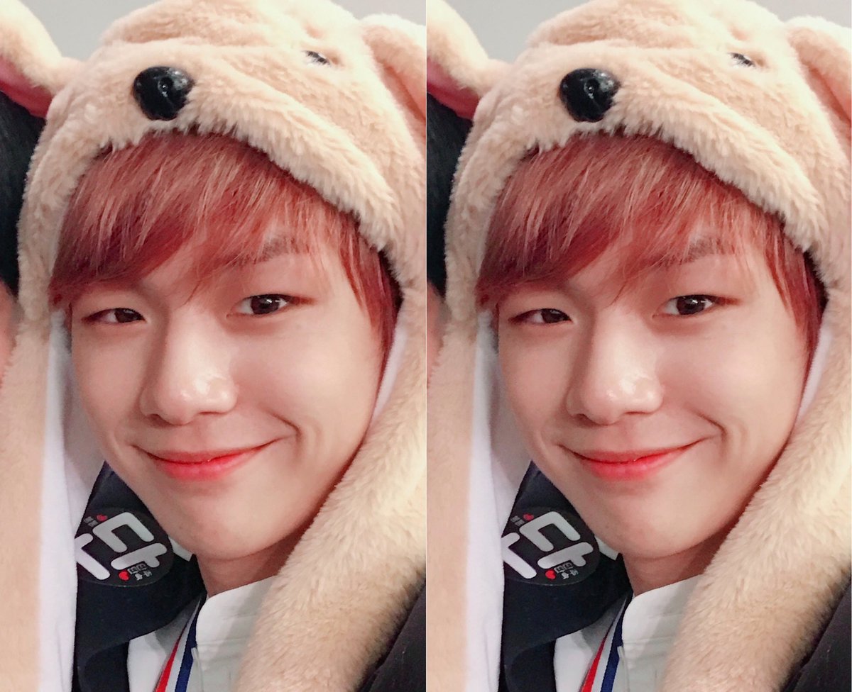 dn2man2's tweet photo. Wanna One 앨범 팬사인회 셀카타임 유닛컷 https://t.co/SIKlWxwabc