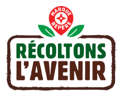 Olivier Dauvers tweet media