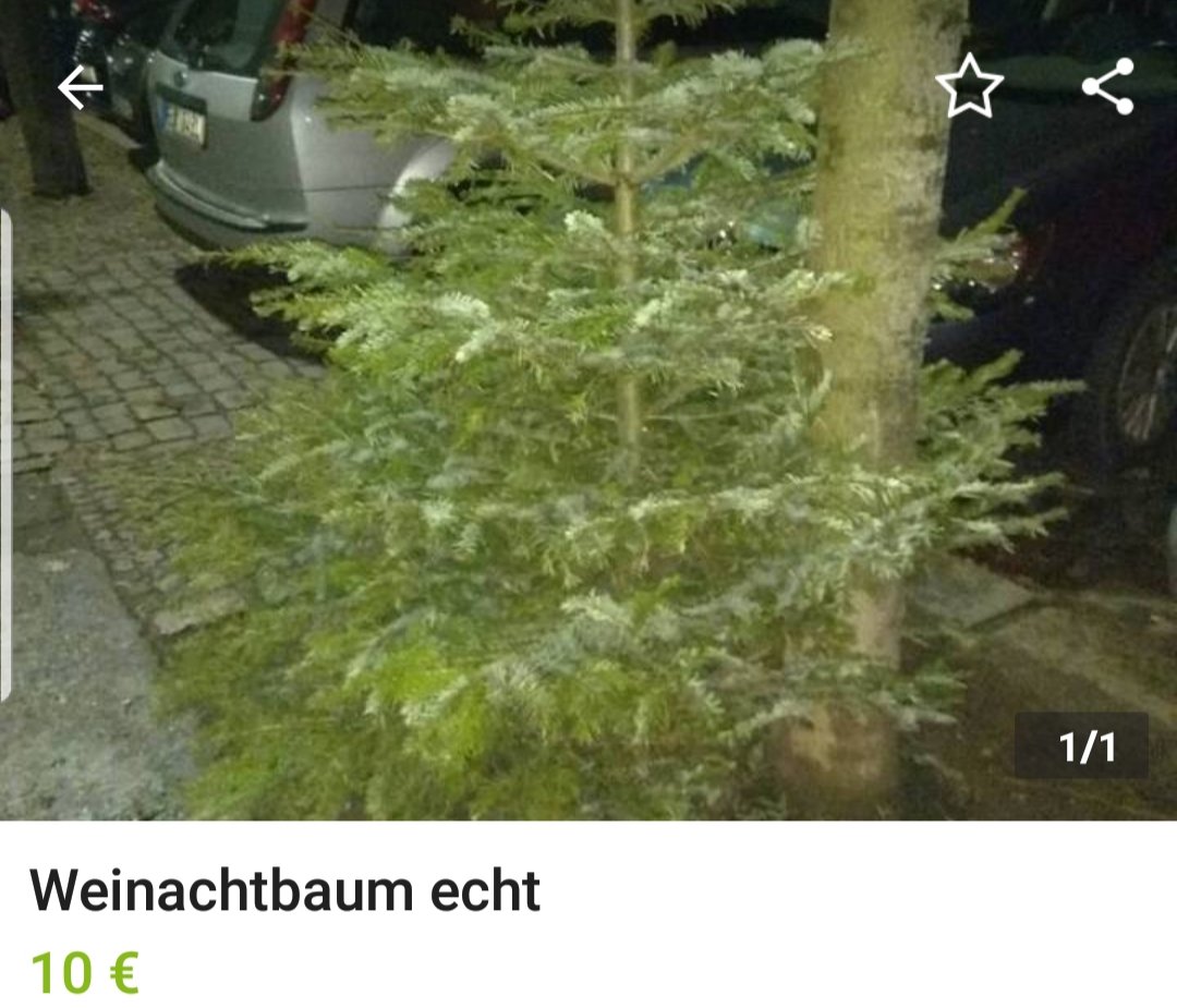 KAZfails's tweet photo. Jemand Interesse? 🌲
#Weihnachtsbaum #ebaykleinanzeigen #kazfails #knut https://t.co/dQB8hC0Bdq