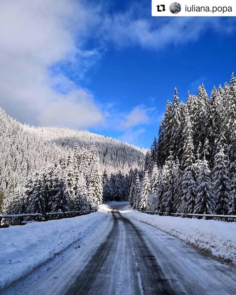 ClujTourism's tweet photo. Get ready for a ride! Only...in #cluj #county!

#beautifulrumania #winterroad #winterinromania #winter #awesomeview #roadtrip #snow #snowtree #snowtravel #clujtourism #clujcounty #romania🇹🇩 https://t.co/uDUtWGLWHy