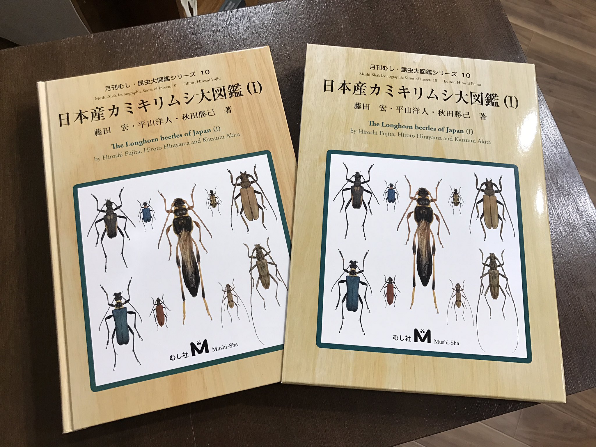 うみねこ博物堂 3月17日 31日 うみへそフェア2開催 日本産カミキリムシ大図鑑 I が入荷しました 日本のカミキリ の地域変異と個体変異を概観する これまでにない大図鑑です よくぞここまで集めたと感服します また 解説部分では著者らの体験談や