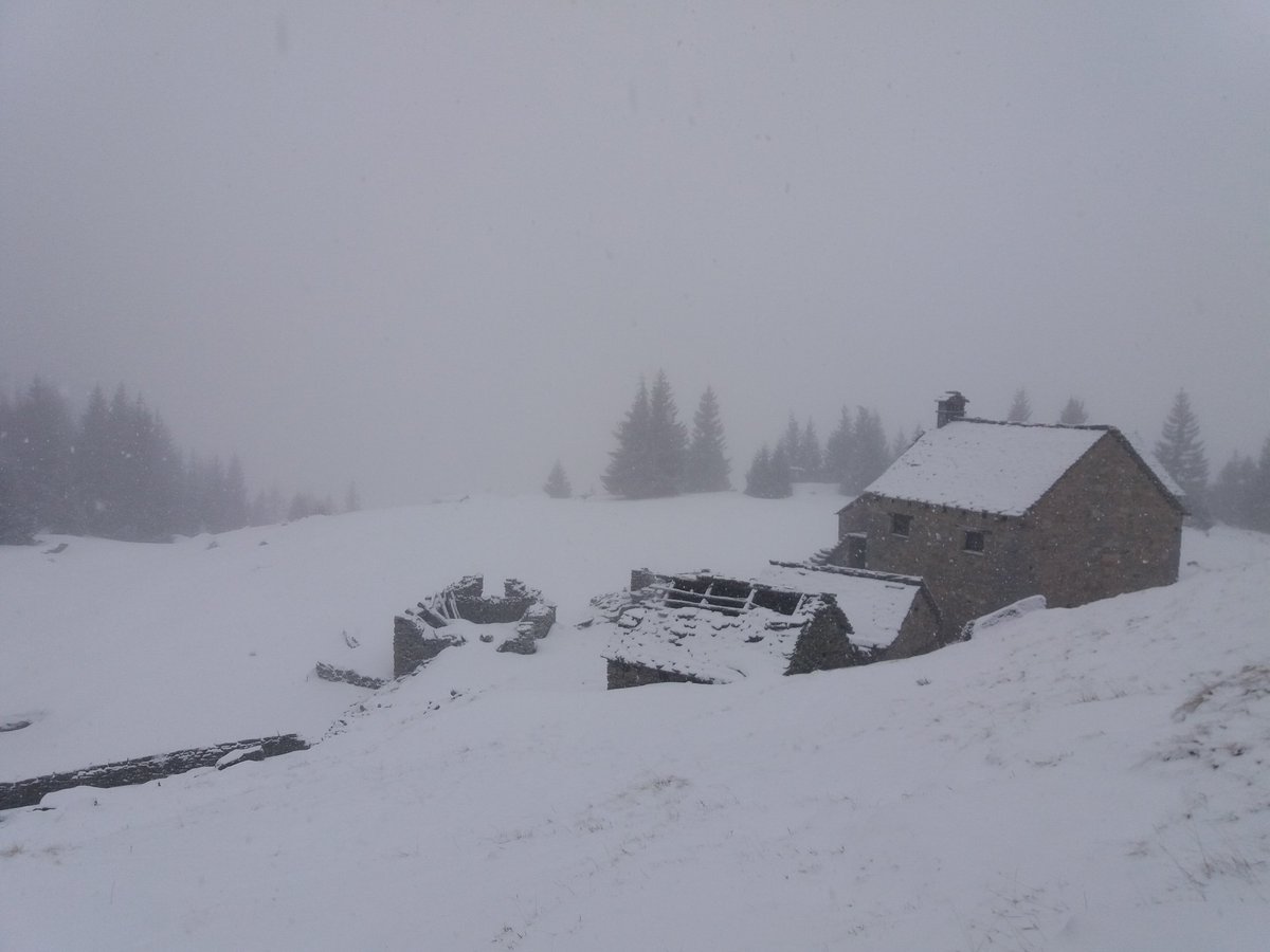 il_mencamassi78's tweet photo. 9 gennaio 2019
Alpe Genuina 1695 mt
Valle #Antigorio / #Divedro
#Ossola https://t.co/p7yQYbfUyE