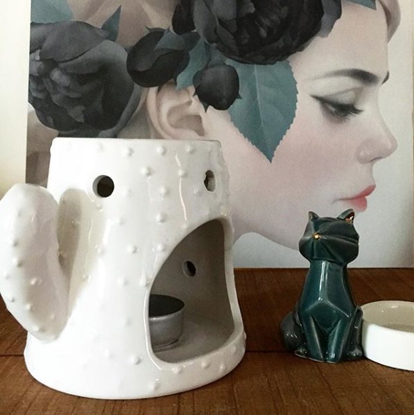 ScentchipsNL's tweet photo. Hij blijft leuk, deze cactusbrander! We hebben de brander in het wit, zoals deze van happy customer @teacocohome, maar ook in zwart, taupe en groen. Je shopt ze hier: https://t.co/RXChBDw6ub

#scentchips #scent #scents #cactus #sfeer #scented #fragrance #geur #geuren  #smell https://t.co/ek4JZhEDwW