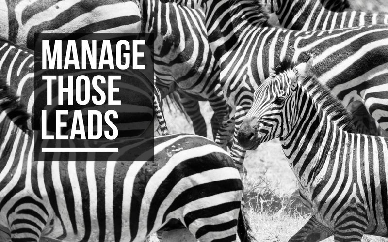 ModernB2B's tweet photo. Want to know the recipe for effective #leadmanagement?

It's 1 part marketing + 1 part sales + lots of collaborating.

Get the full details in our new blog post: https://t.co/PvIjbOxj1i

#leadprocess #marketingleads #B2Bmarketing https://t.co/gBz4rwKTWP