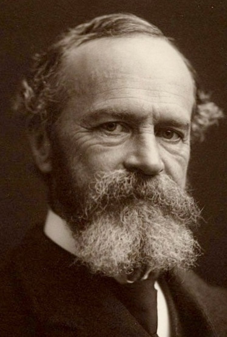 I am reading Michael Foley's book on Henri Bergson and the introduction mentions William James' philosphical crush on Bergson and the philosophical bromance between the two men. So here's a little thread to warm your heart.