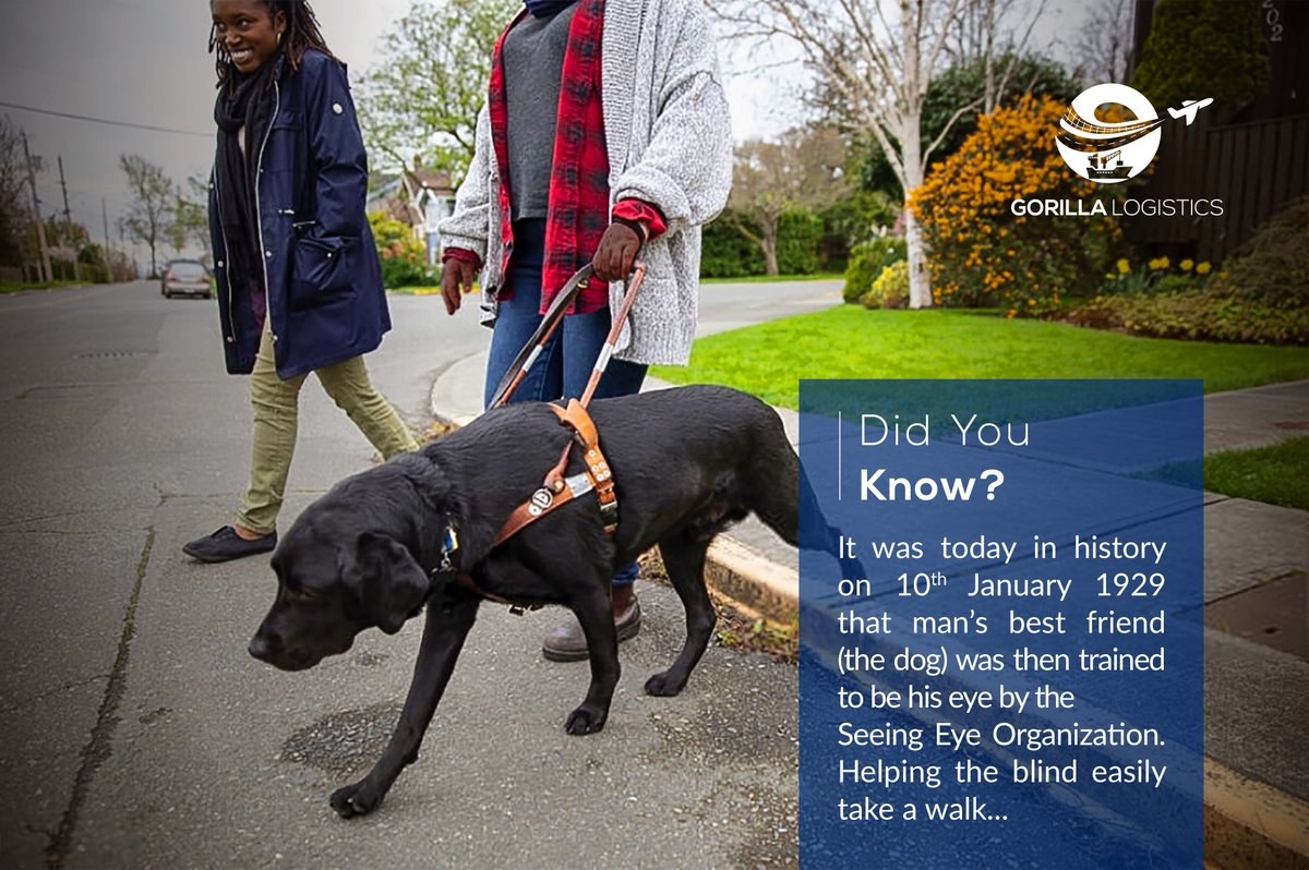Gorillalogistic's tweet photo. #DidyouKnow?
It was today in history on 10th January 1929 that man's best friend (the dog) was then trained to be his eye by the Seeing Eye Organization. 
Helping the blind easily take a walk...
#WeHaul
#Logistics
#VisitRwanda
#PossibilityInEveryDirection
https://t.co/eUeDDtdPId https://t.co/nyVGTs2aAp