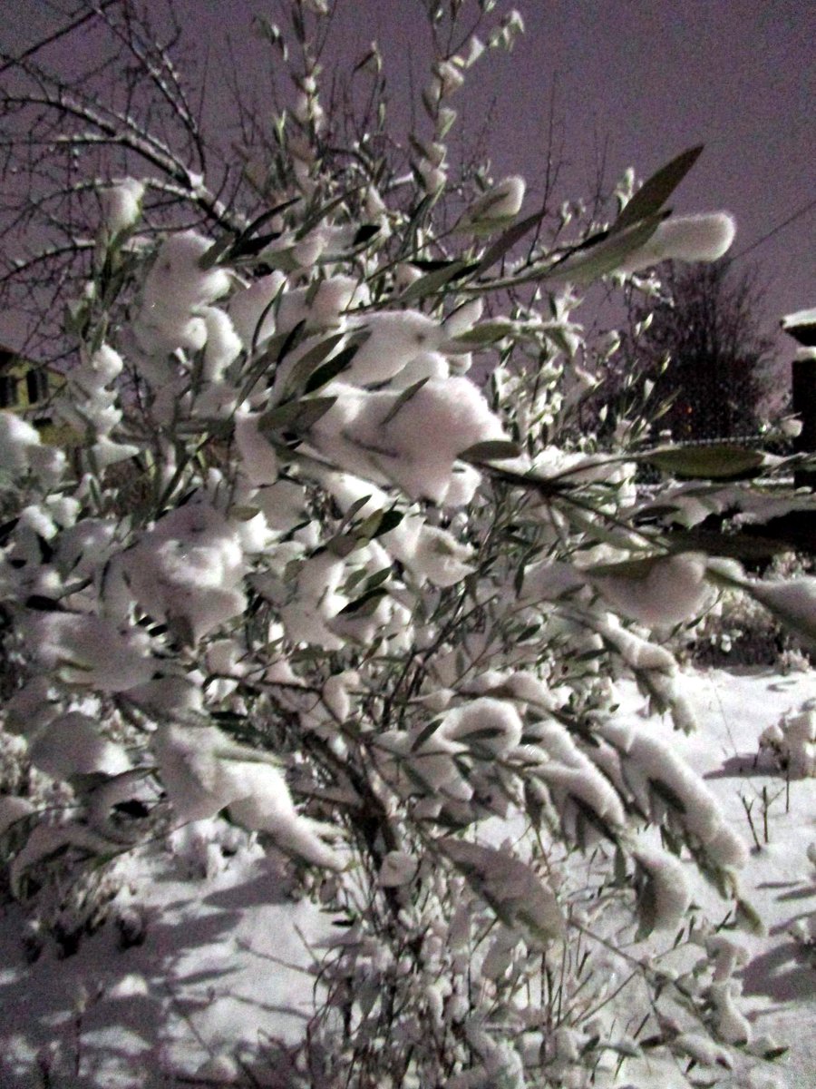 MagnetFidelity's tweet image. Magnetic Fidelity New Year Newsletter coming up! Subscribe here: magneticfidelity.com/newsletter.sht…

#analogmastering #analogrecording #directToDisk #vinyl #tape #analogstudio #records #R2R