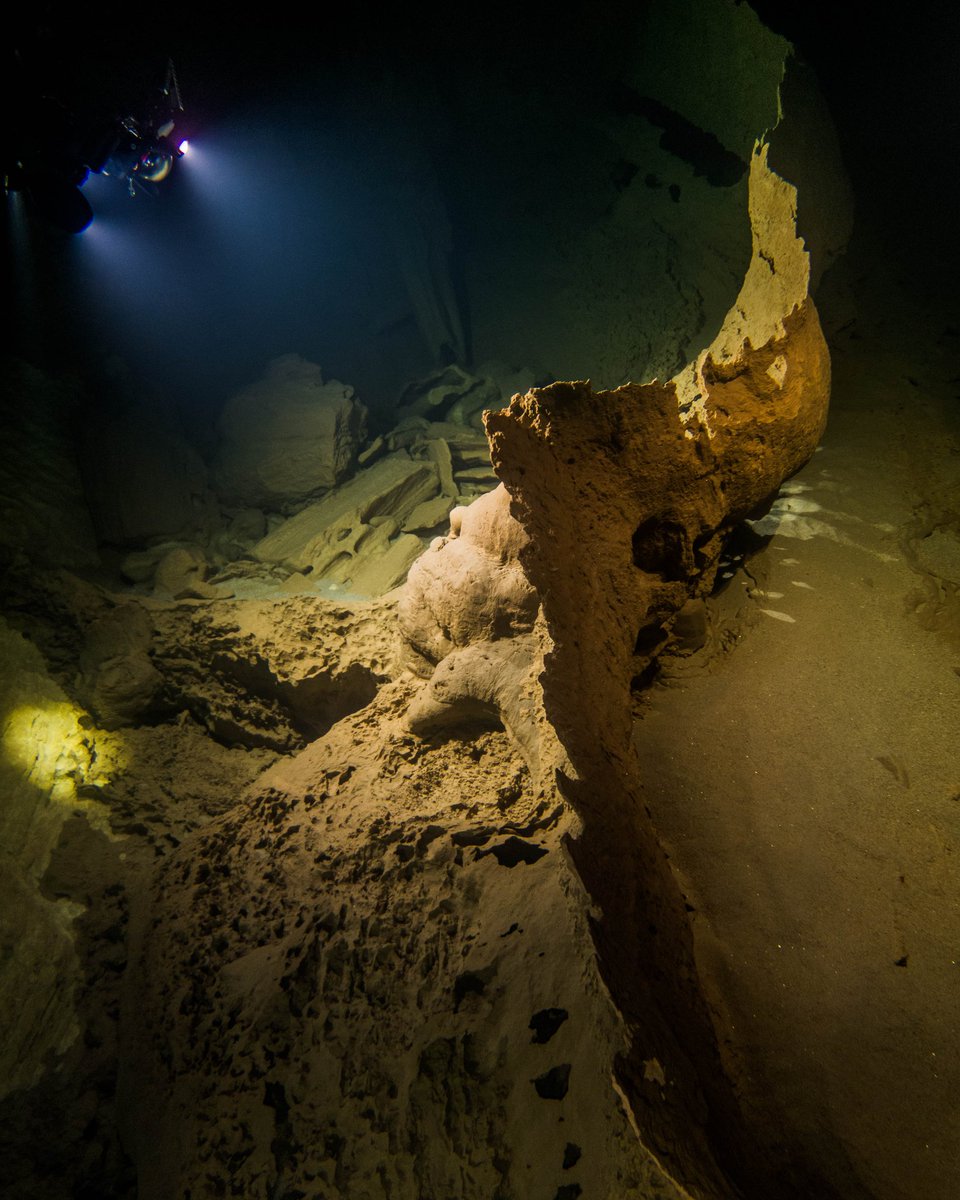 digginworld's tweet photo. Missing it!! #cave #underwaterphoto #underwater #darkness #buceo #scuba #scubadiving https://t.co/YLVKkXzePq
